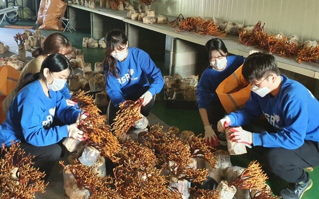 [붙임] bhc치킨 ‘해바라기 봉사단’ 4기 1조 농가봉사활동 이미지001.jpg