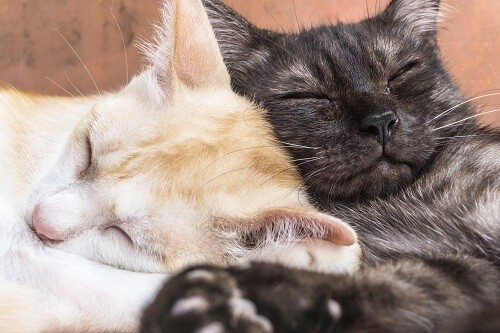 참된 [13회차] - 공무원수험신문 - 한검평-바로송출 .jpg