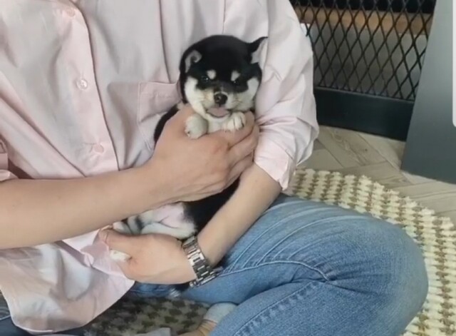 [플래나]후불_11회_공무원수험신문_미유펫_0317예약송출(오전 7시).jpg