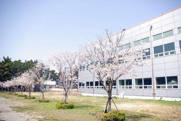 [플래나]후불_57회_공무원수험신문_비상에듀 독학기숙학원_1220바로송출.jpg