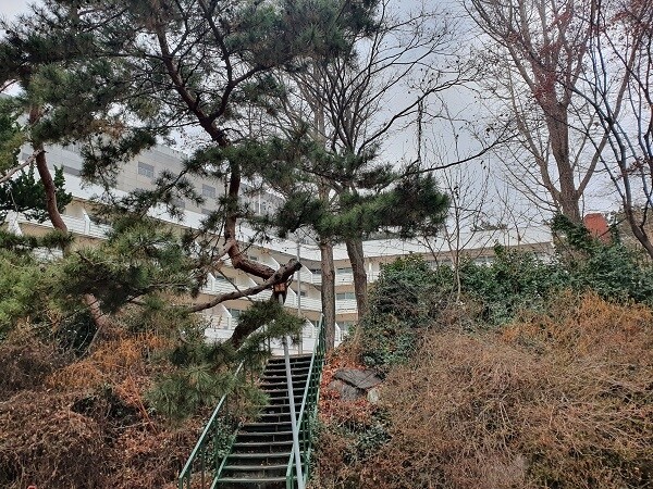 참된 [107차] -공무원수험신문-재수기숙학원-20일(목) 오전 9시 예약송출.jpg