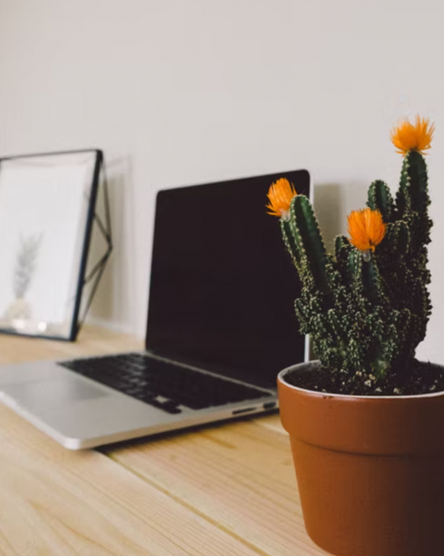 참된 [60차]-공무원수험신문-메타인과외-21일(목) 오전 9시 예약송출.png