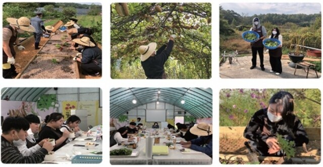 대학생 농업치유.JPG