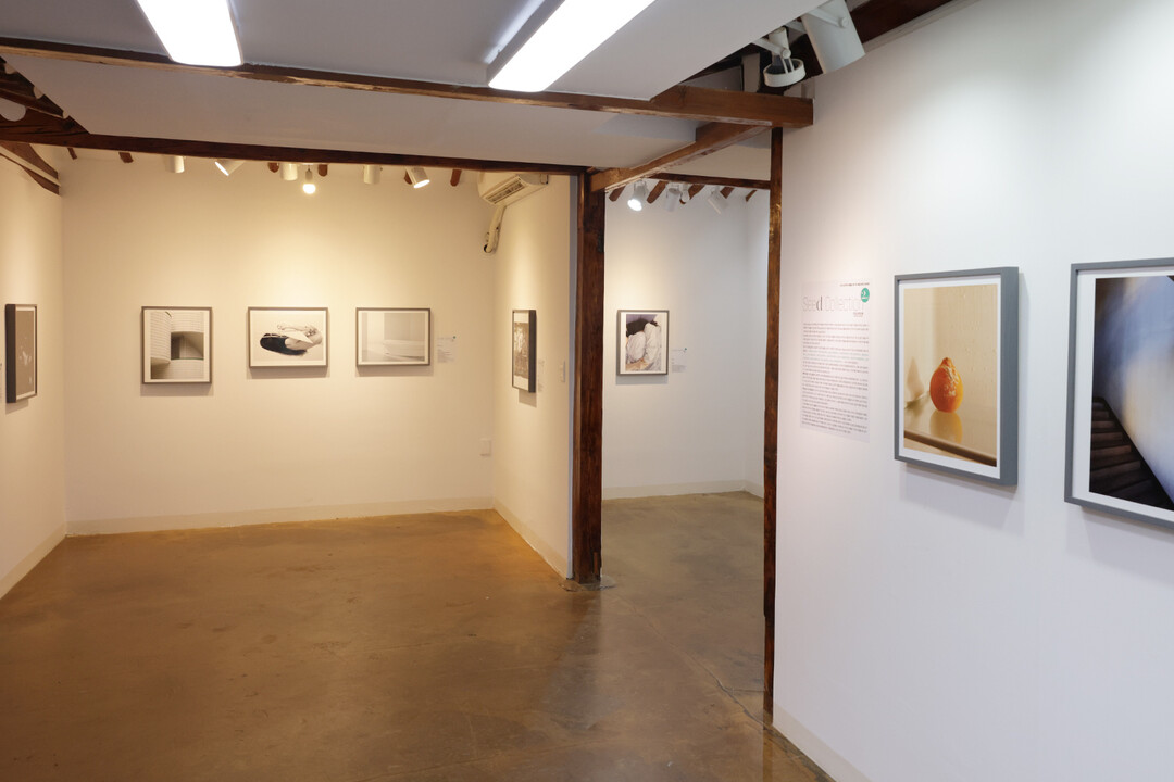 “학생 작품 사서 전시까지” 후지필름...